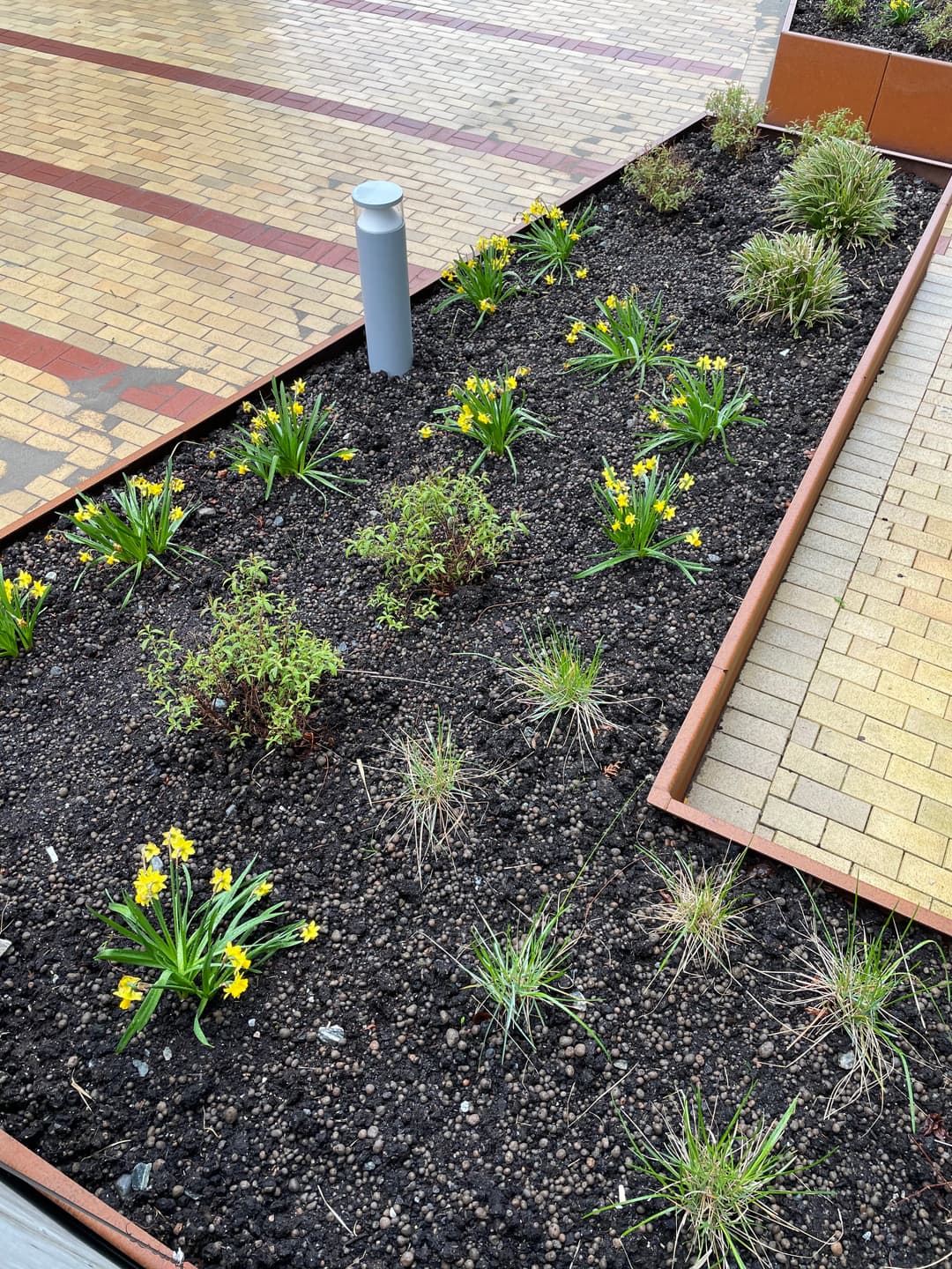 Rengjøring av inngangsparti i borettslag i Bergen