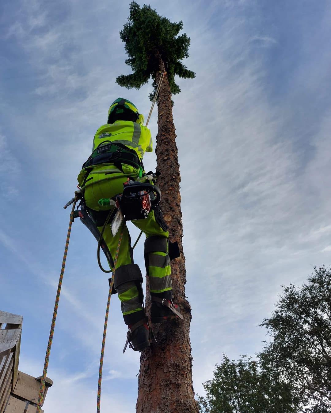 Utendørs vedlikehold av eiendom i Bergen