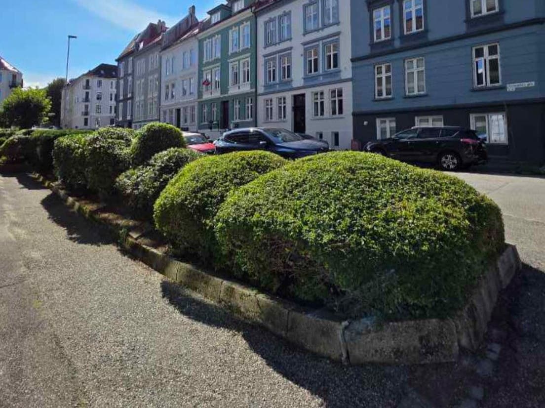 Vaktmester Bergen - Buske